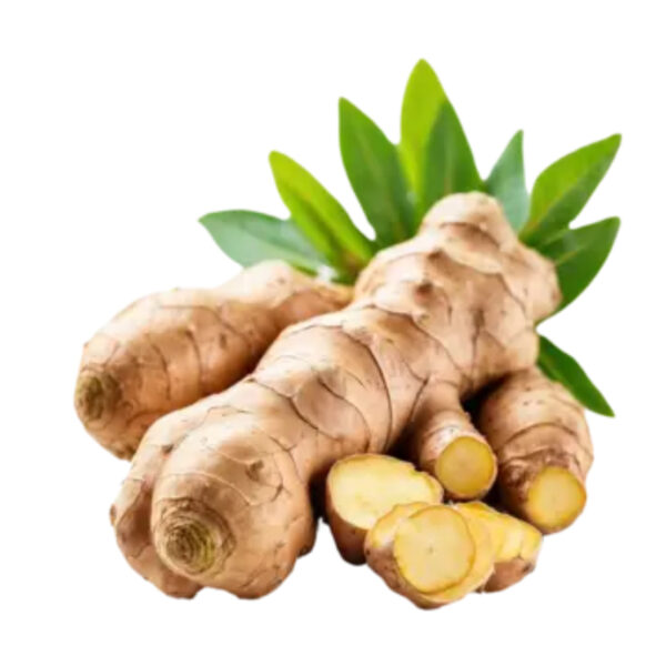 Artichoke Jerusalem