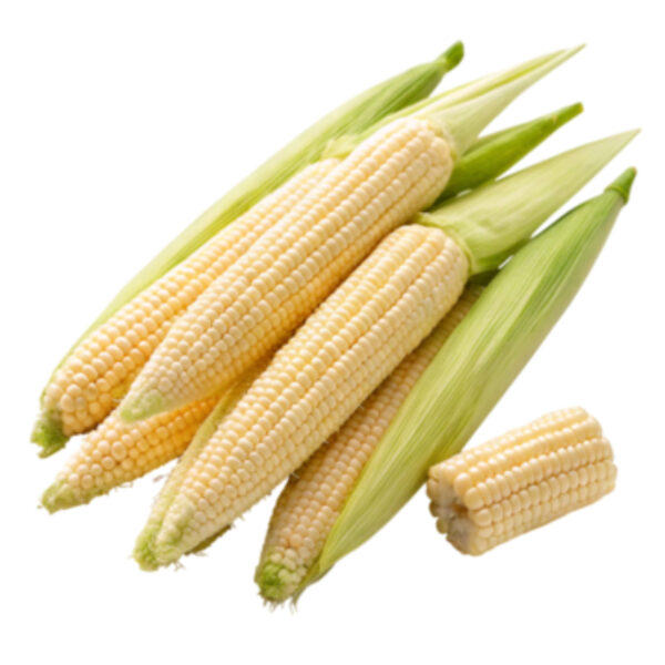 Baby Corn (12x 130gm box)