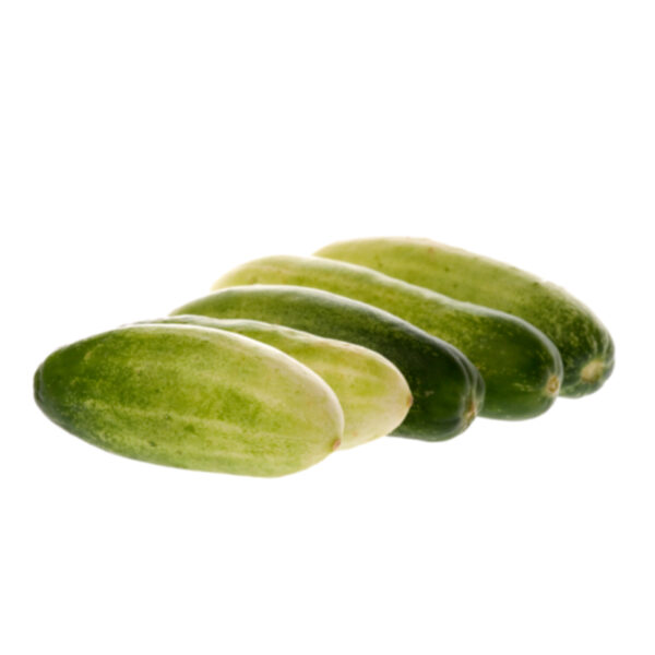 Baby Cucumber (5kg Box) Naturinda