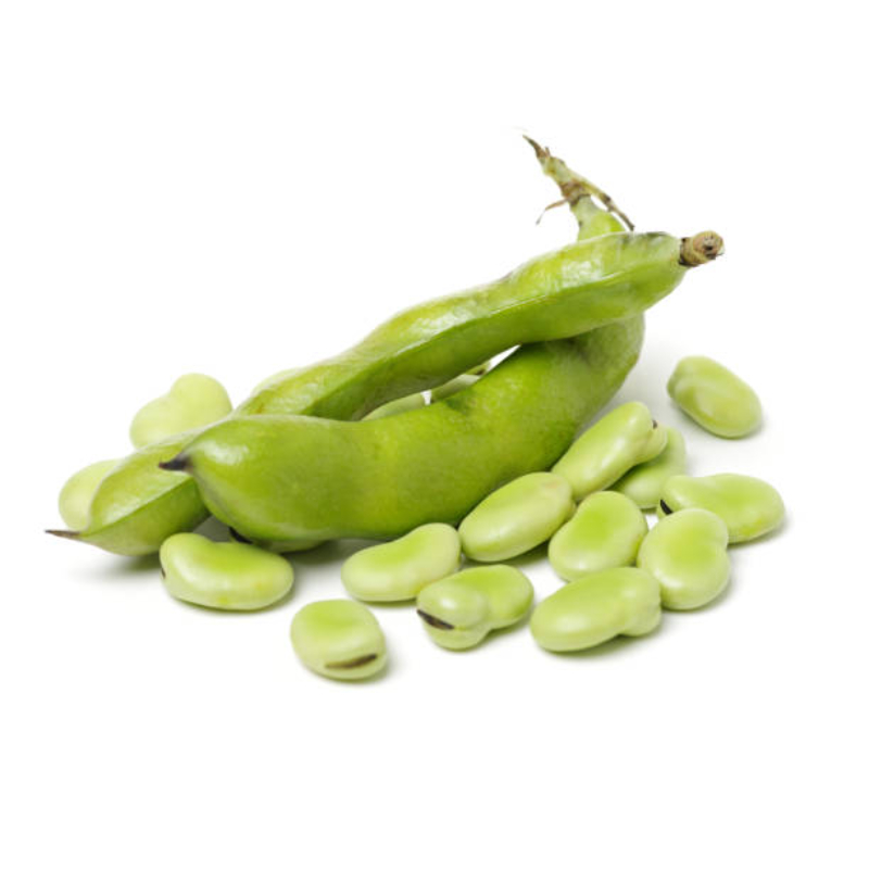 Broad Beans Broad Beans - Image 1