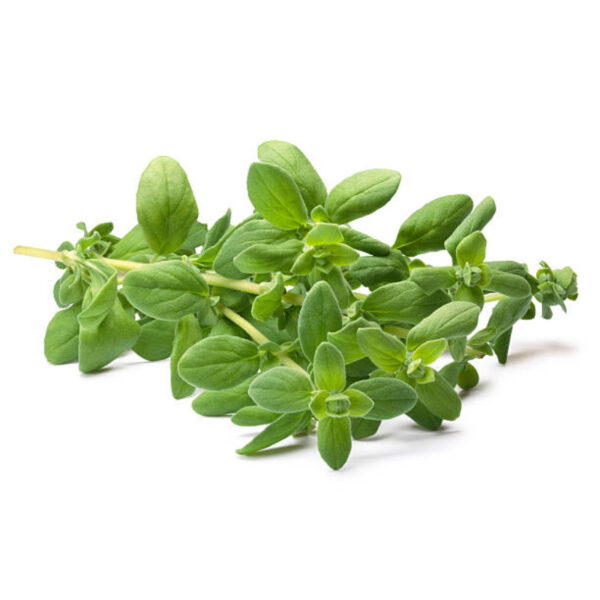 Marajoram