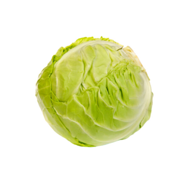 Spring Cabbage(x12 Pieces) Net Sacks Bag