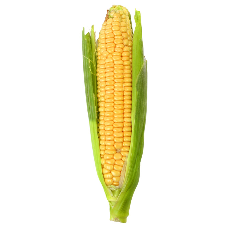 corn on cob corn on cob - Image 1
