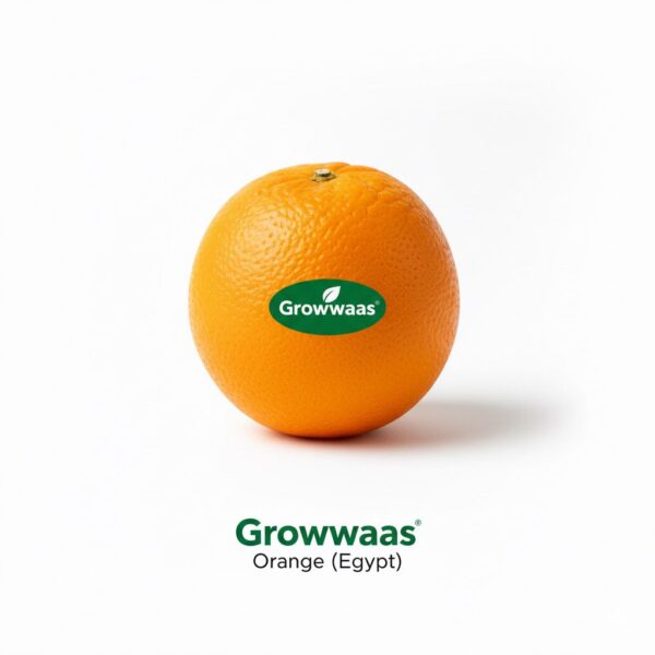 Orange Egypt (x105 15kg)