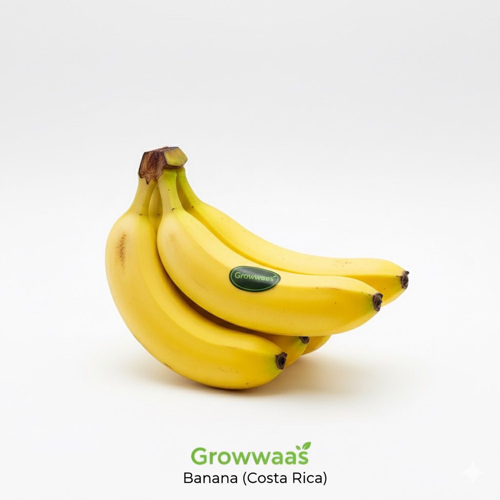 WhatsApp Image 2025-10-20 at 6.53.42 PM Banana Costa Rica (13kg) chiquita - Image 1